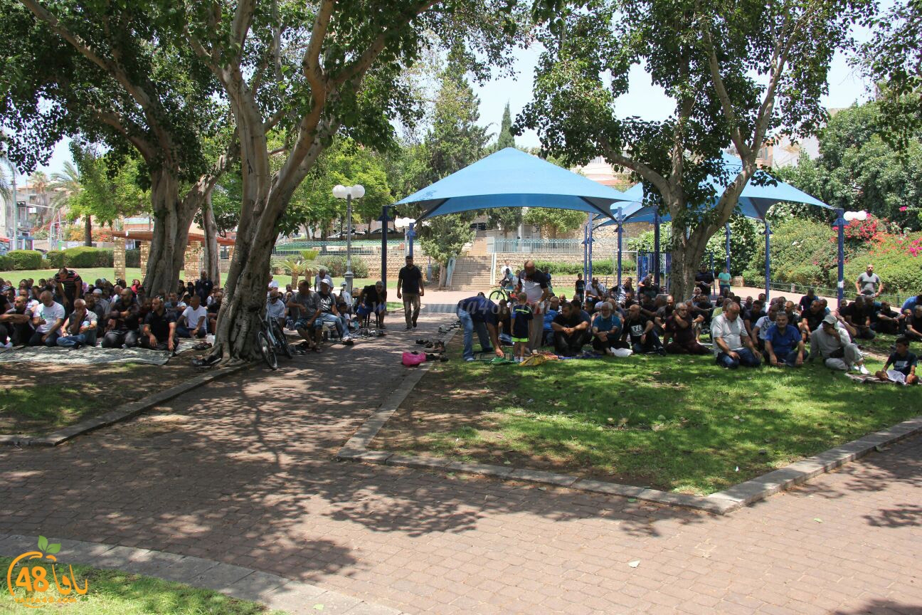 salah jom3a ajami (17).jpg